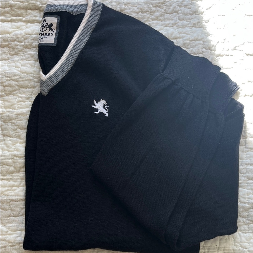 Express Black and Gray V-Neck Sweater